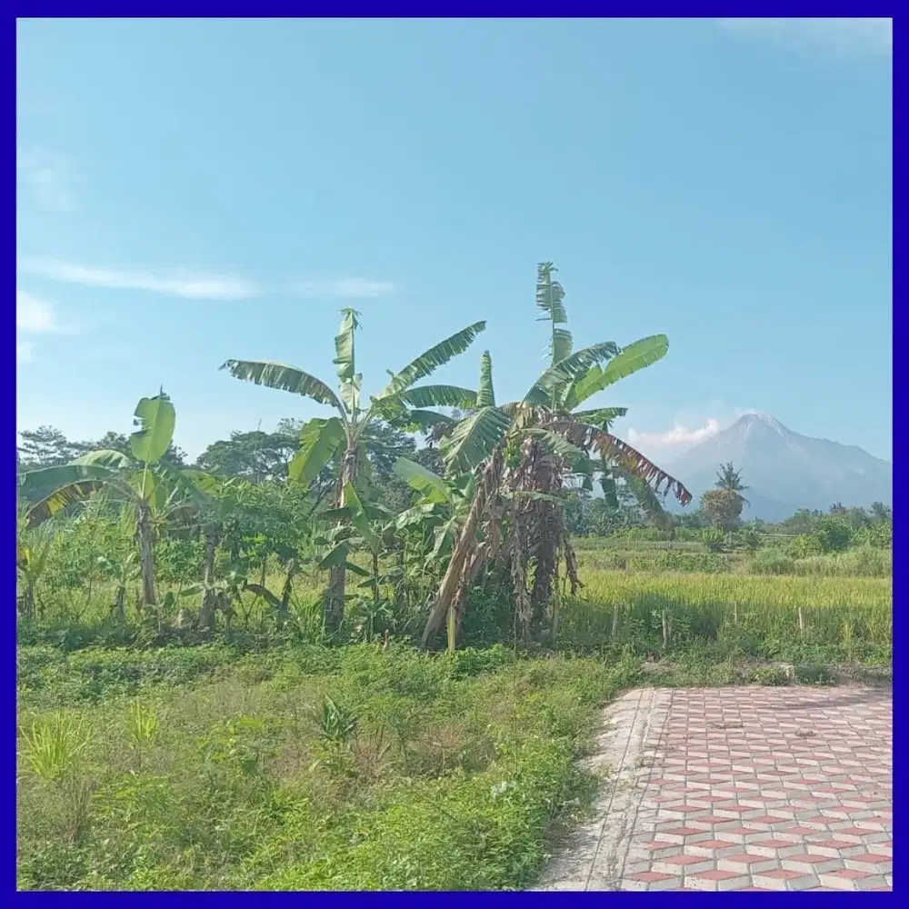 Tanah Jogja Kaliurang View Merapi SHM Pekarangan