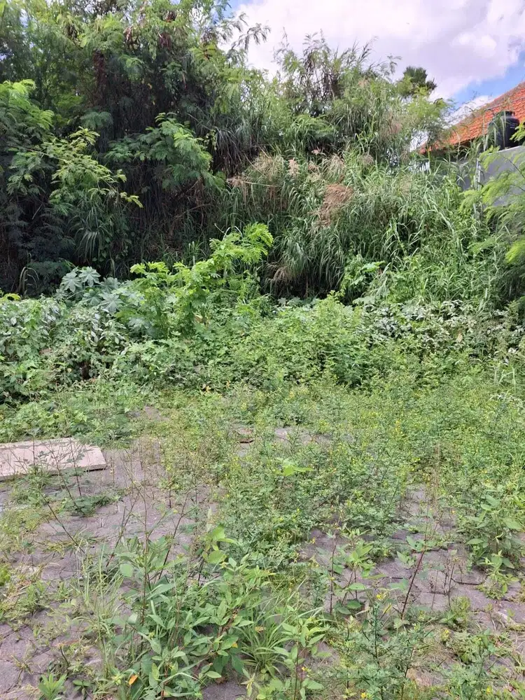 Tanah kontrak terbaik Di  dekat Pantai Oberoi seminyak