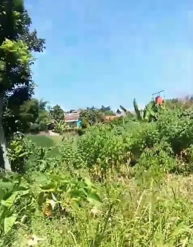 Tanah darat jatinangor, 12 tumbak,msk mobil, harga murah