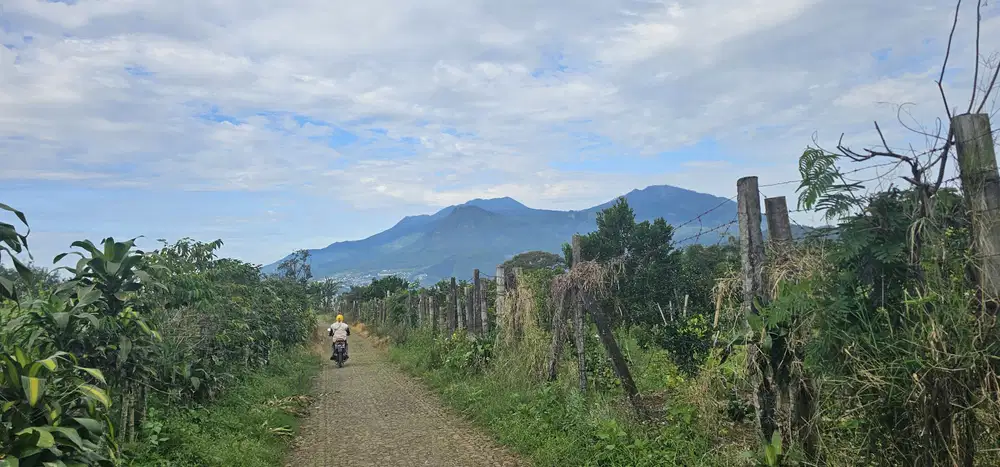 Tanah murah sumbergondo bumiaji batu view istimewa buat villa