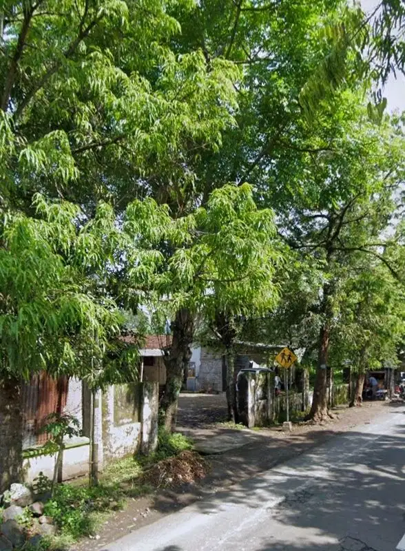 TANAH SHM 7402 DEKAT ALUN-ALUN JEMBER