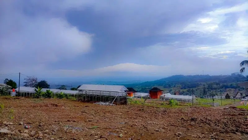 Jual Tanah Kavling KEBUN ANGGUR di Bogor