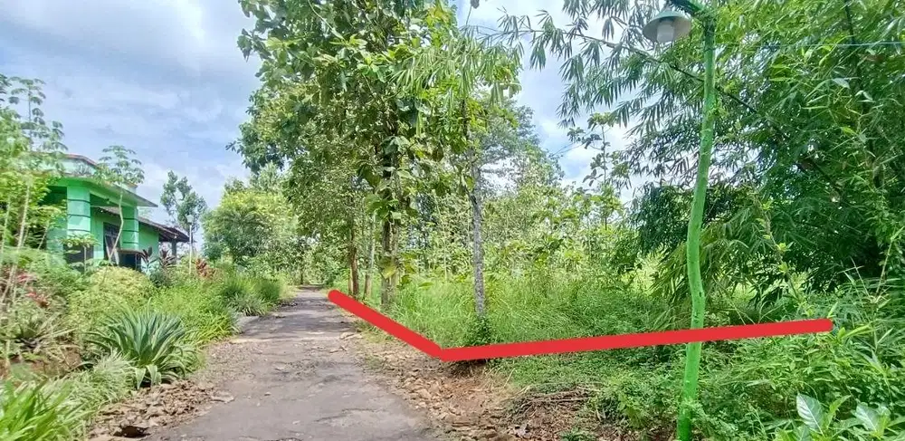 Jual Tanah murah pekarangan di kota karangmojo Gunung Kidul strategis