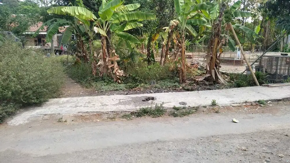 Tanah akses mobil dekat jalan raya Fatahillah Weru Cirebon