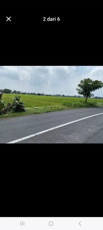 Dijual sawah murah dibentakan baki