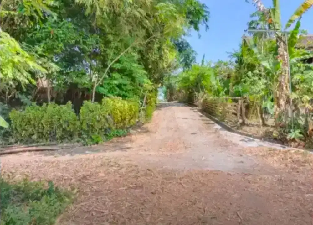 Tanah Bolon 1750Mt, Ld -+ 58Mt, dekat Jalan Tentara Pelajar, Colomadu