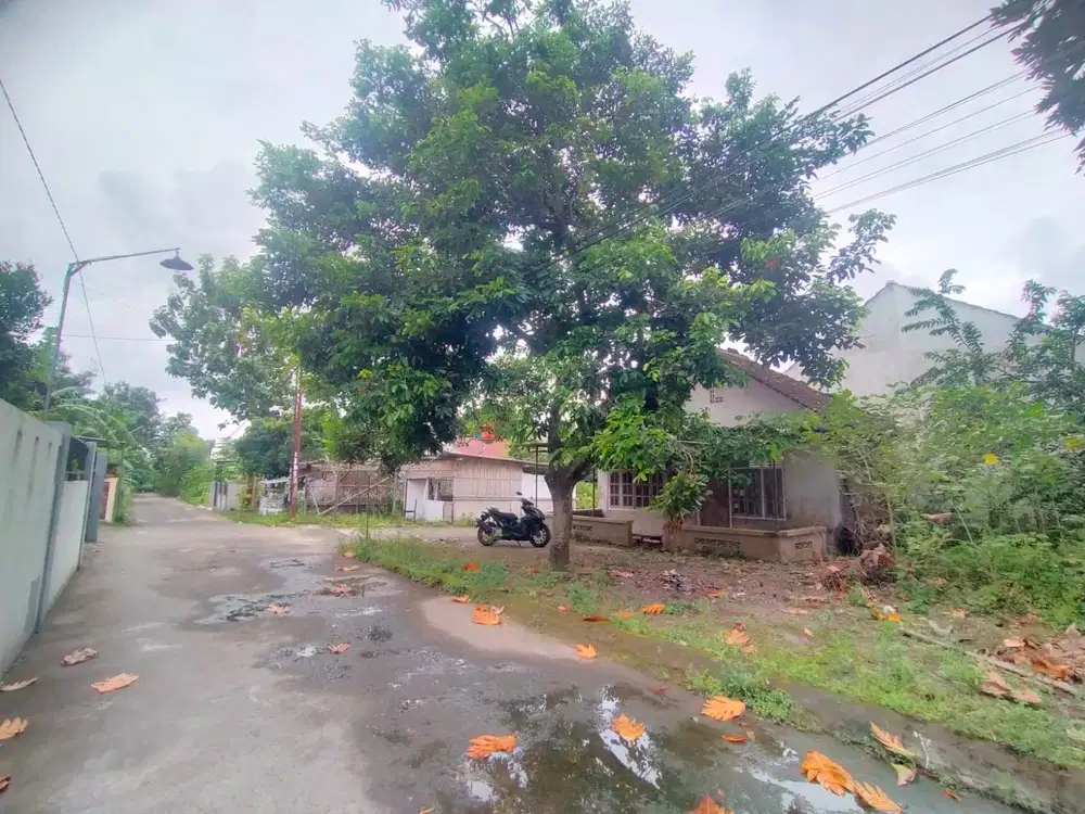 Pekarangan istimewa dekat Stadion Maguwoharjo