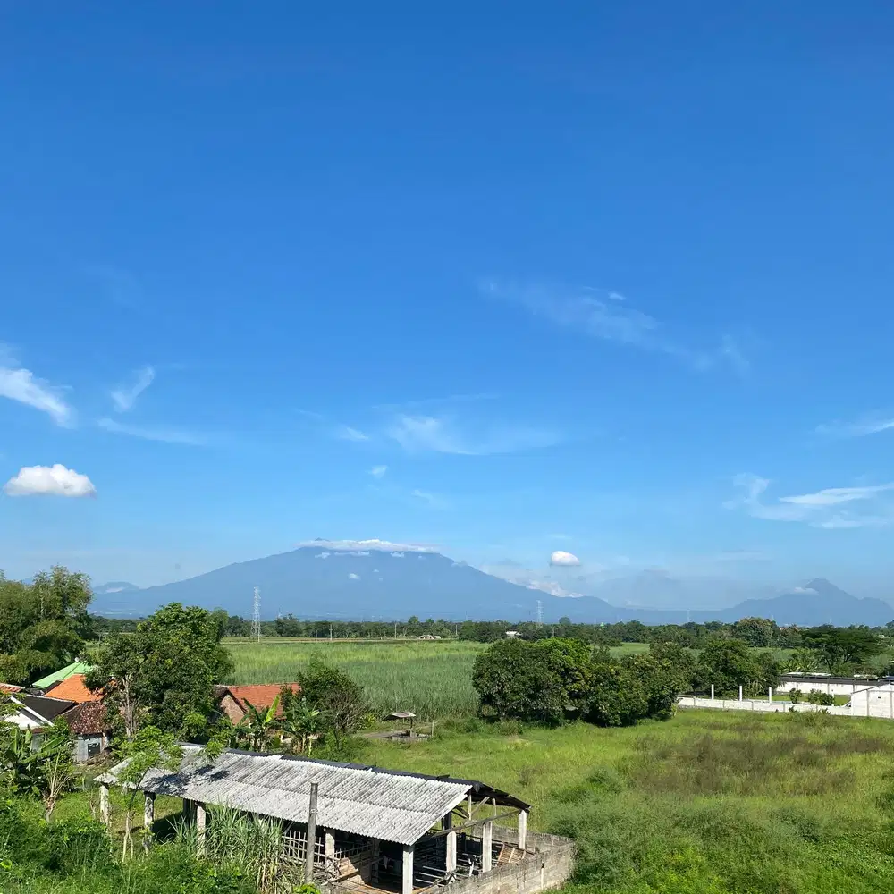 jual tanah parasrejo pohjentrek pasuruan