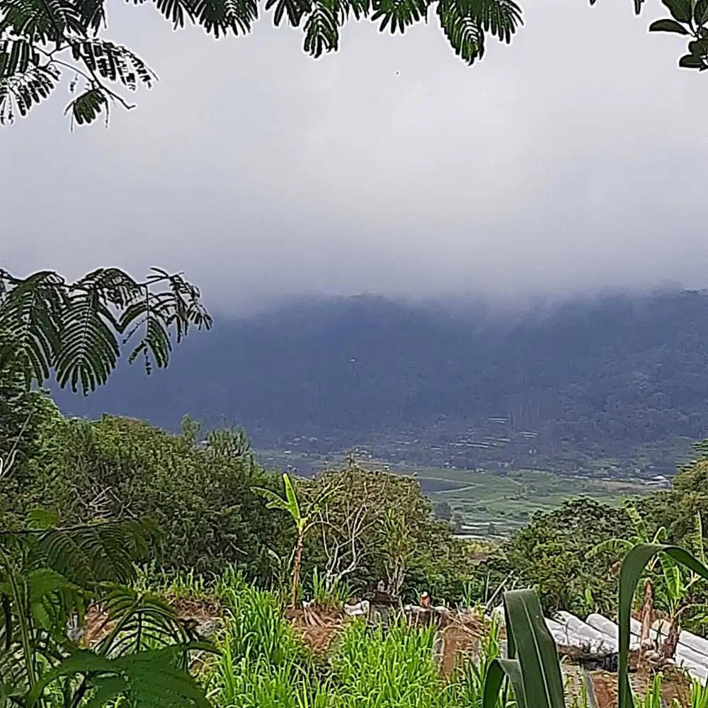 dijual tanah view danau pancasari