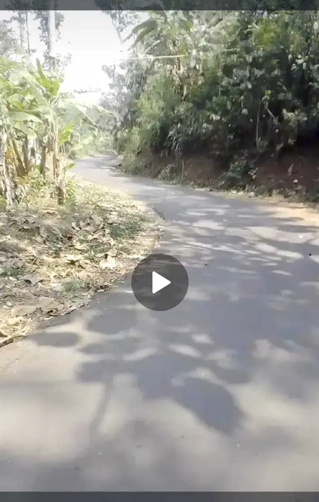 Dijual tanah perkebunan nol jalan Wonosalam, Jombang