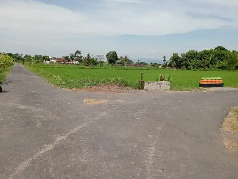 Dijual Tanah Sawah View Merapi Selomartani