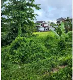 Tanah 9 Are Dekat Pantai Cemagi