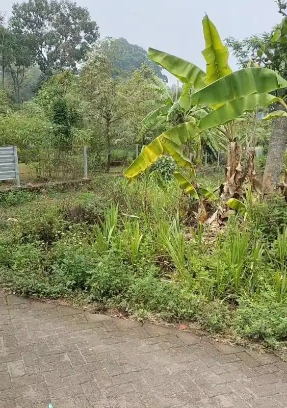 Tanah pekarangan perkampungan