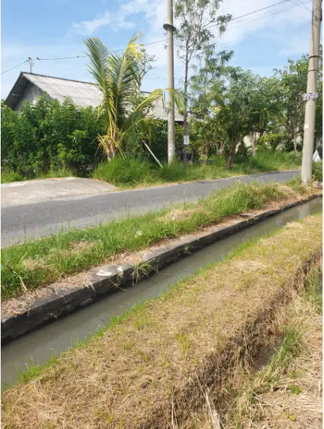 Tanah Murah Dkt Pantai Lima Pererenan