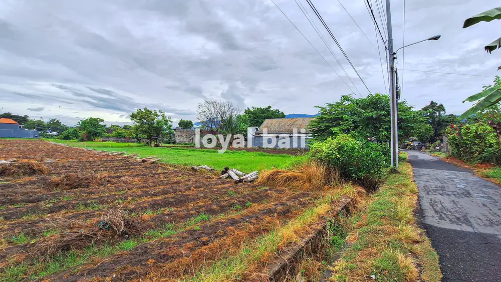 Tanah 20 are, 2.000m2 Tanah Bagus di Daerah Populer di Anturan, Bali
