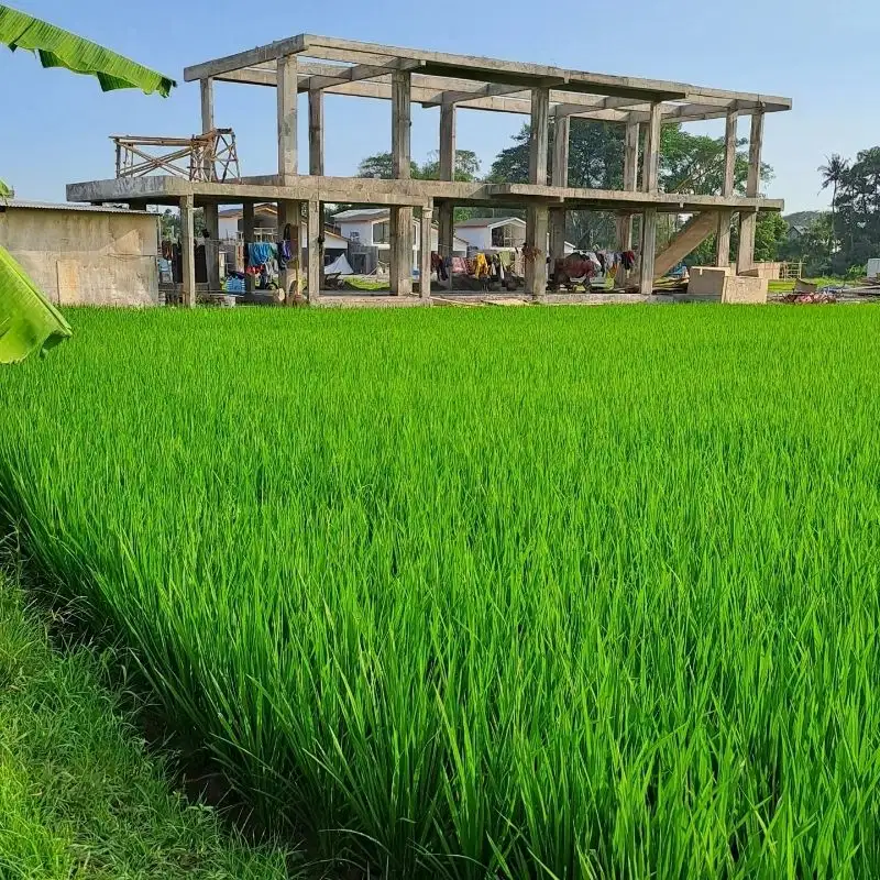 tanah kontrak dekat pantai seseh zona pariwisata pink