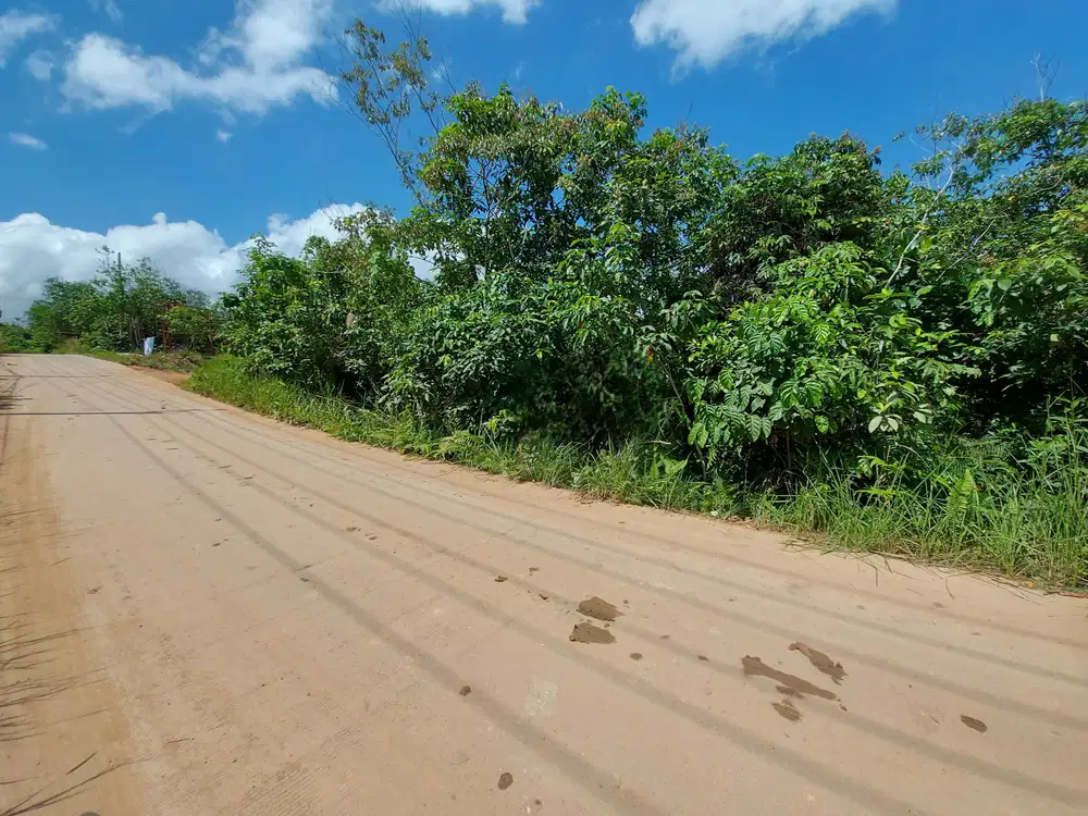 Dijual Segera Tanah dekat Bukit Doa Kalimantan