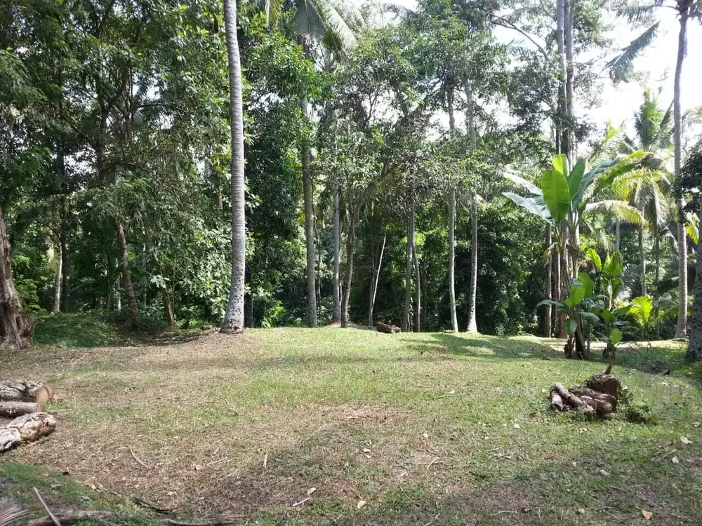 Tanah Munggu Dekat Ke Pantai Pererenan