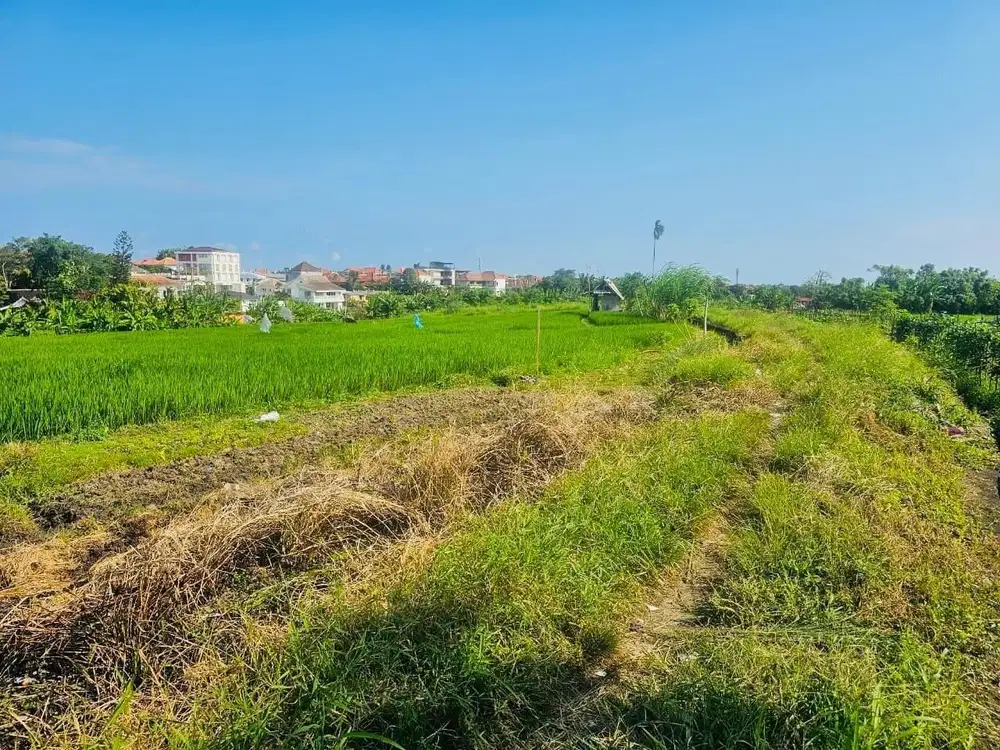 Tanah View Sawah Canggu Badung