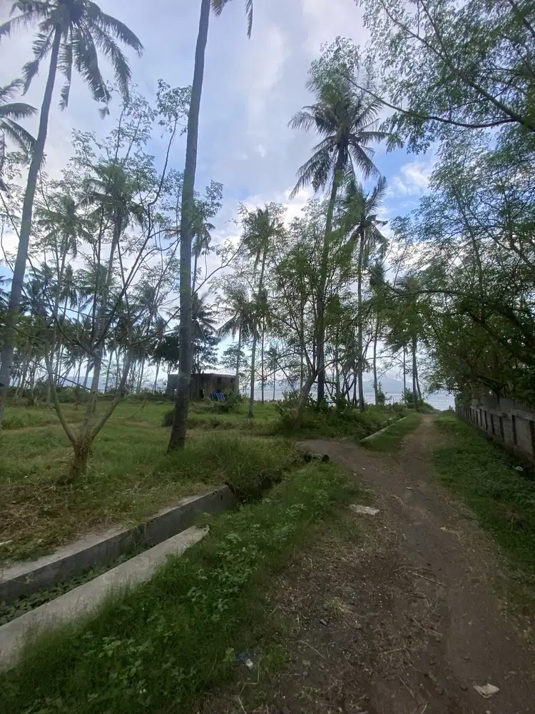 Jual tanah klatak kalipuro dekat pelabuhan ketapang