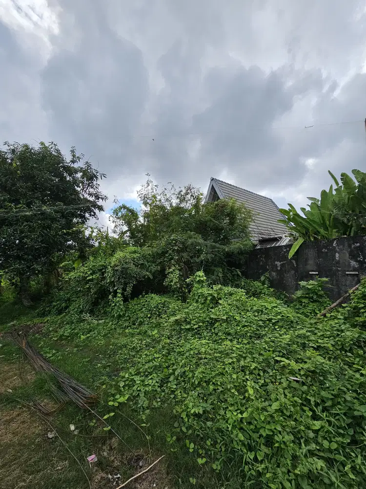 dijual tanah komersil lokasi padonan canggu