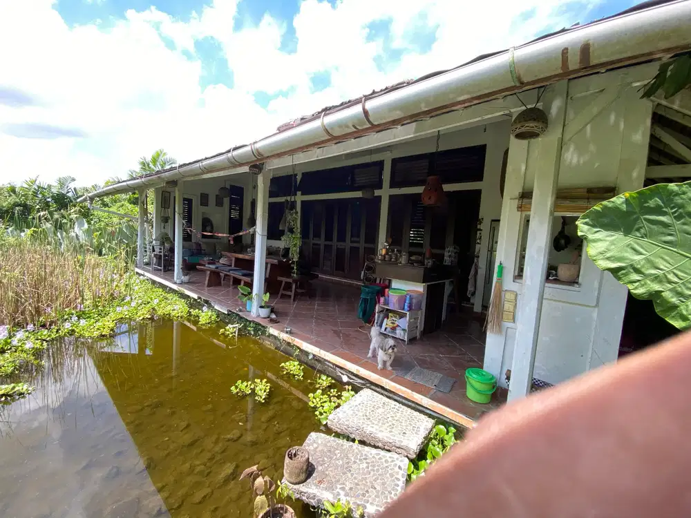 dijual tanah komersil ada bangunan villa lokasi canggu