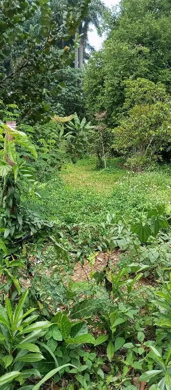 dijual tanah di jln  Raya  Pajajaran Bogor kota 5.063m  shm