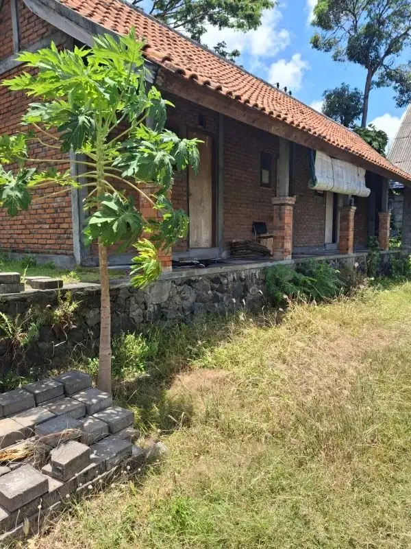 tanah kontrak bonus bangunan rumah - Thumbnail 2