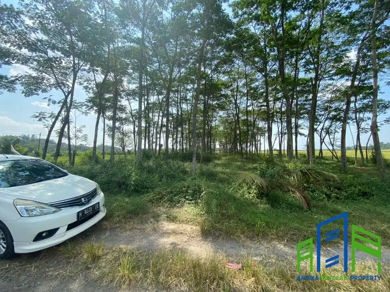 Tanah dekat Bandara adisumarmo solo