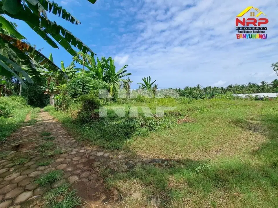 Dijual Tanah Murah Siap Bangun Under 100 juta di Klatak - Kalipuro