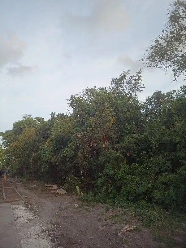 Tanah kontrak termurah dekat pantai Seminyak kuta - Thumbnail 4