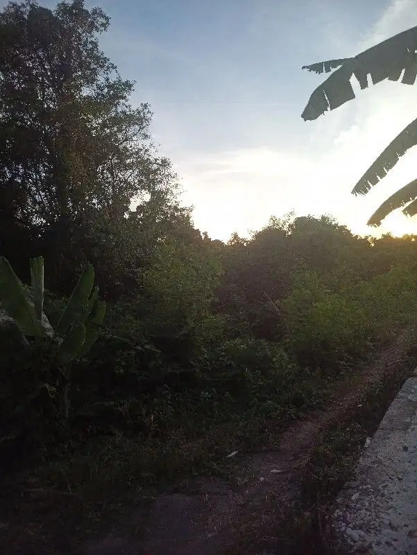Tanah kontrak termurah dekat pantai Seminyak kuta - Thumbnail 7