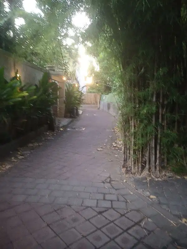 Tanah kontrak termurah dekat pantai Seminyak kuta - Thumbnail 3