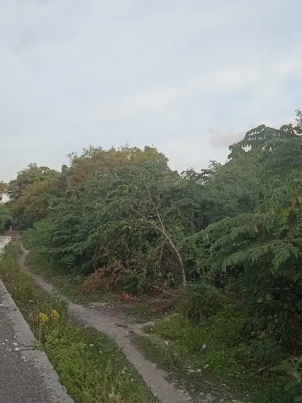 Tanah kontrak termurah dekat pantai Seminyak kuta - Thumbnail 9