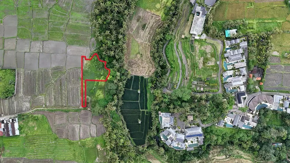 Tanah View Sawah Lodtunduh Ubud Gianyar