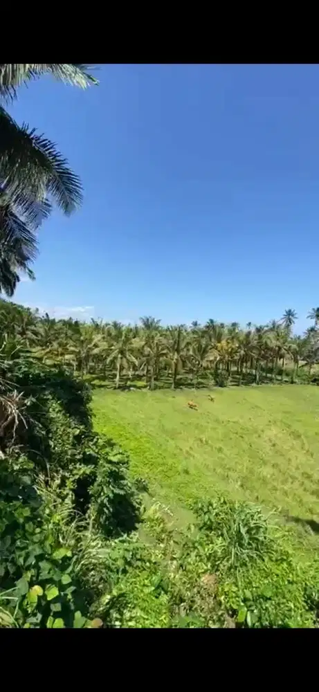 Dijual Tanah SHM 6,4 Are di Bibir Pantai Balian – Spot Surfing Dunia