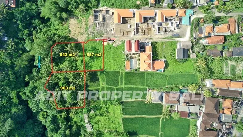 Tanah Los Sungai Tirta Tawar Ubud Gianyar Bali