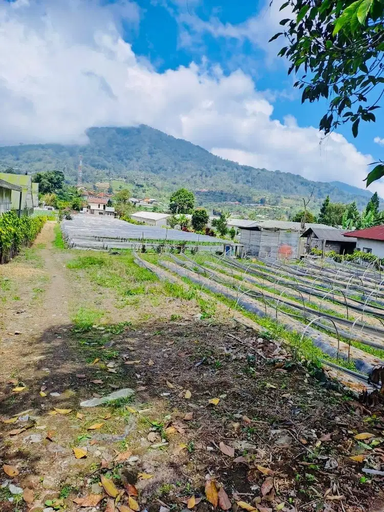 Tanah view danau bedugul bali