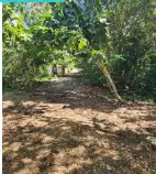 Land for lease in Pecatu