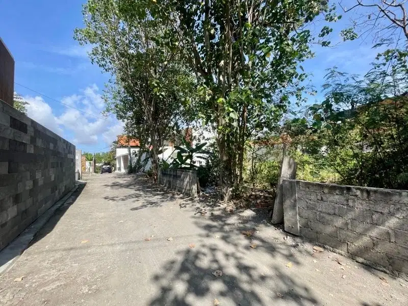 Tanah kayu tulang canggu