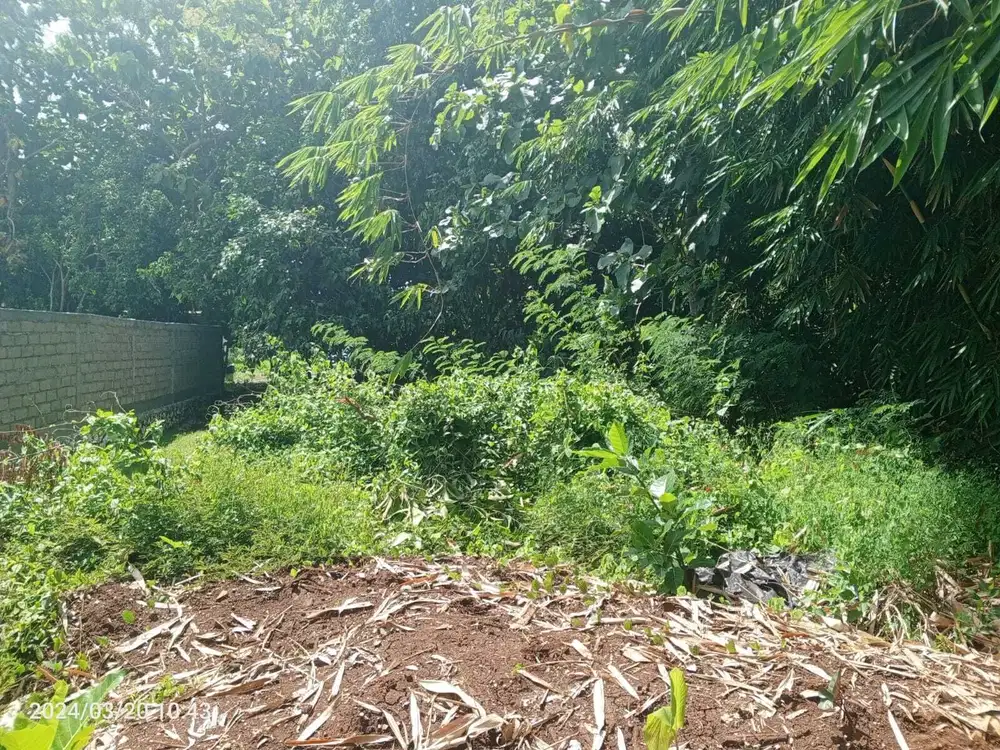 Dijual tanah 2,2 are di jimbaran