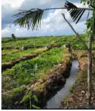 tanah 1,4 hektar di pantai pasut Tabanan