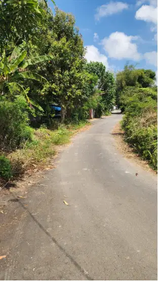 Tanah 31 Are di Kutuh