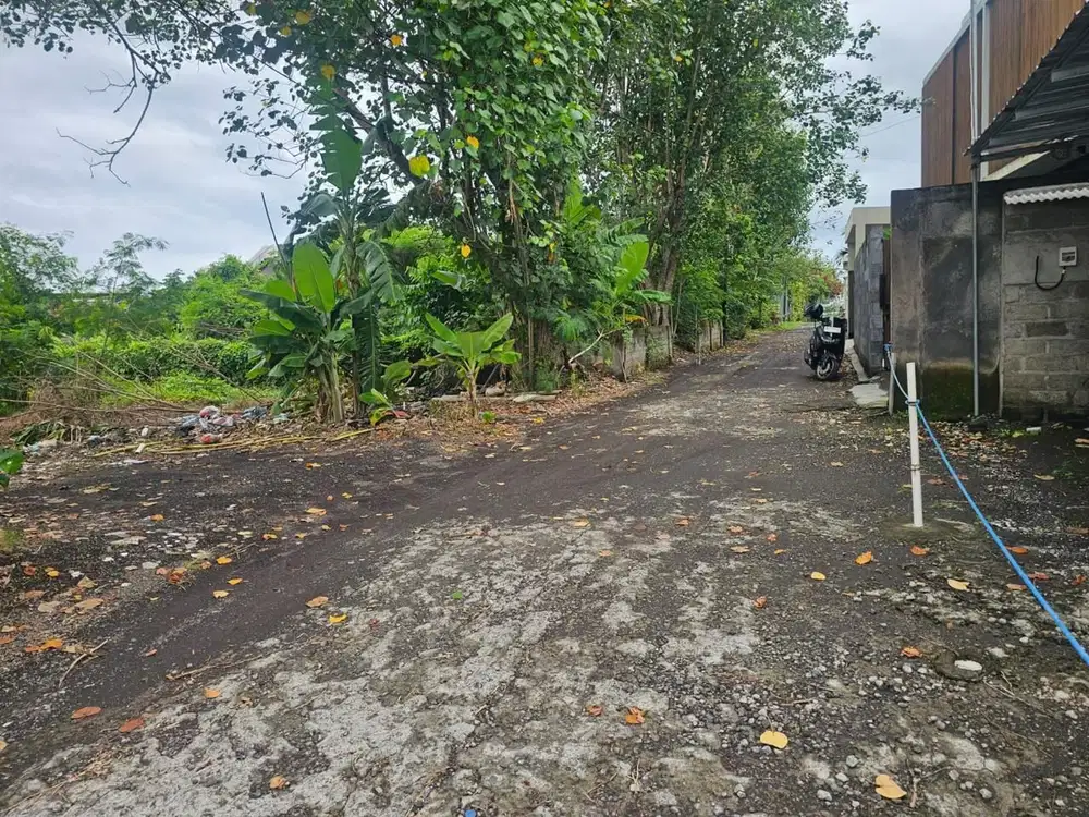 Tanah Premium Kayu Tulang Canggu Kuta Utara Badung