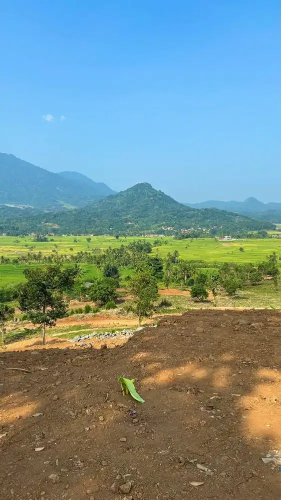Tanah Kavling di Jual Murah Legalitas Aman Deket masjid