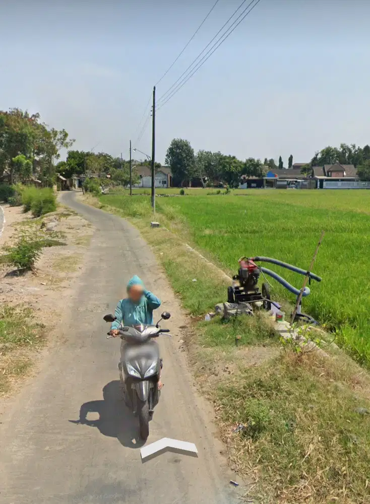 Dijual sawah murah di gawok