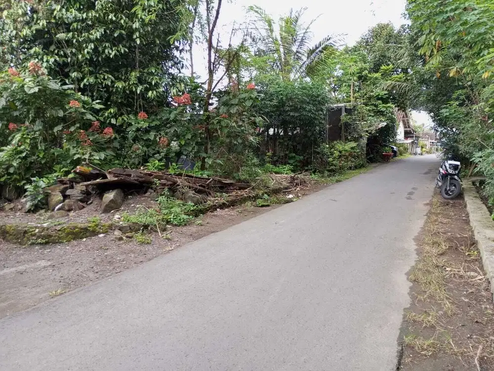 Pekarangan apik akses istimewa area pakem Sleman