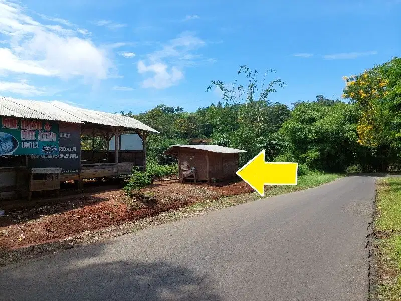Tanah kebun pinggir jln propinsi lt 1,9 ha, harga 1,7 jt/ tumbak