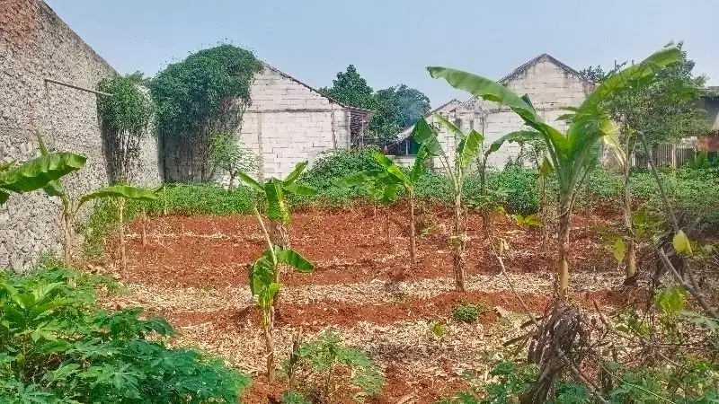 di jual tanah darat SHM Rp 1,250 /meter nego masuk mobil di Depok