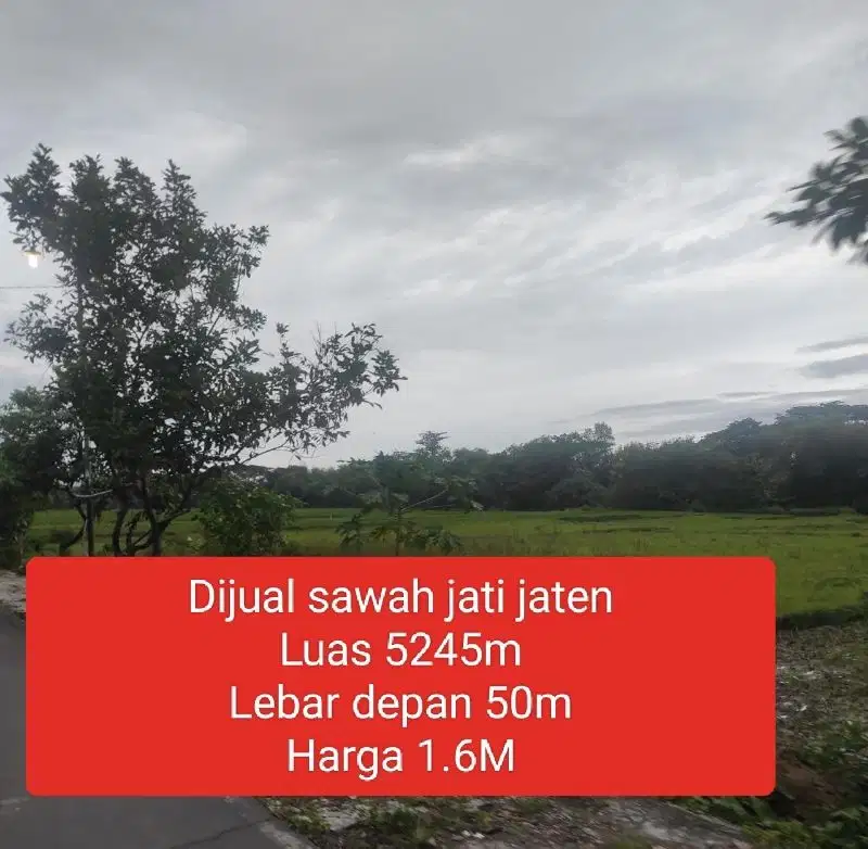 Dijual sawah produktif di jati jaten Karanganyar
